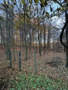 Działka 4625 m² + budynek ok. 100 m² | Żelazko | 200 tys.”